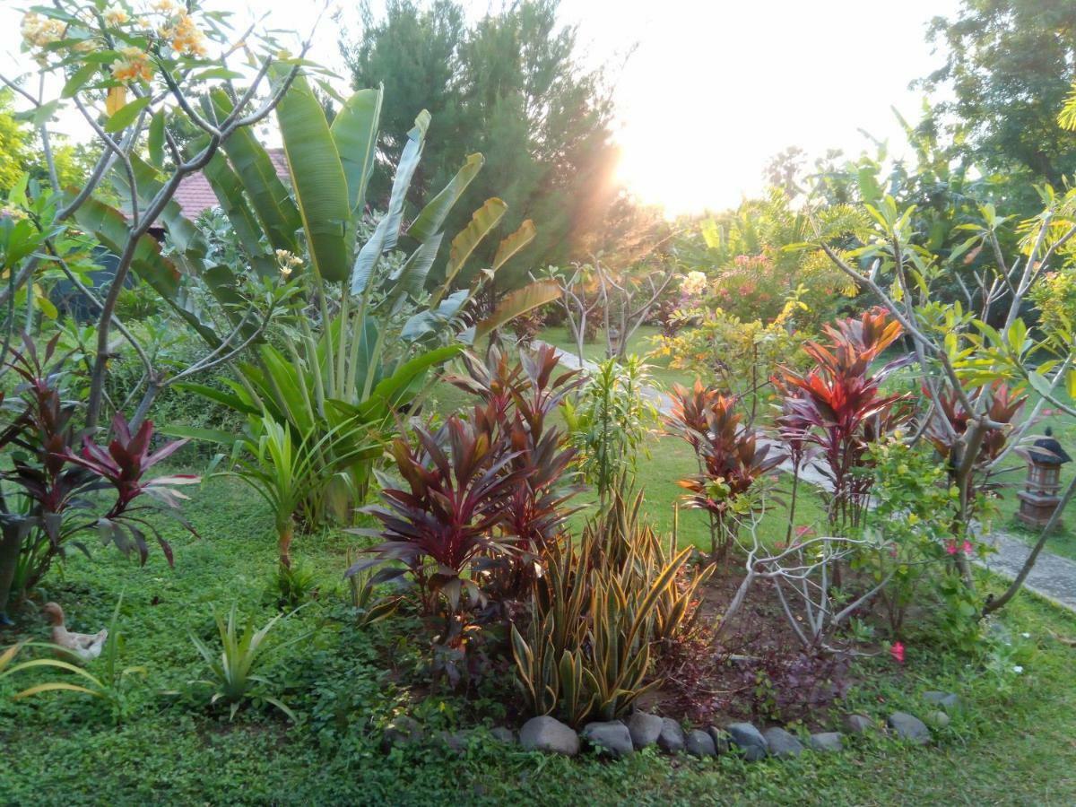 Tegal Sari, Pemuteran- North Bali Hotel Exterior photo